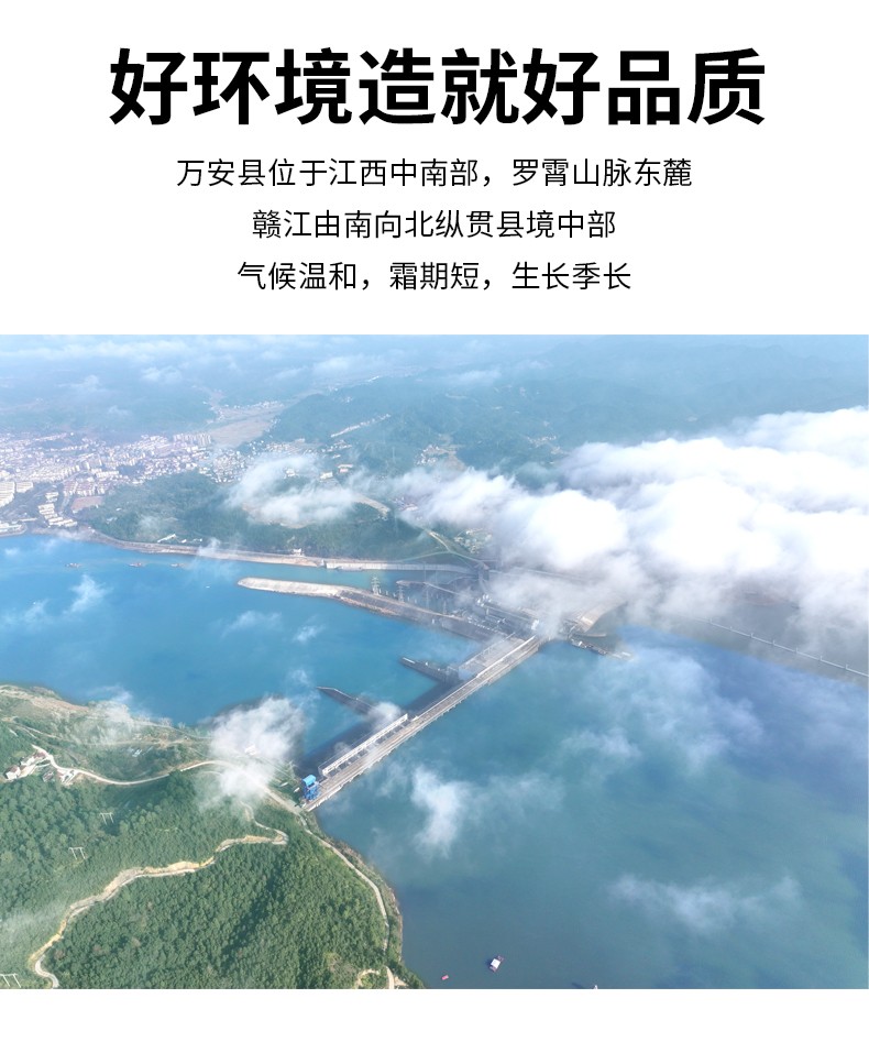 和萬安|生態(tài)農(nóng)業(yè)|有機(jī)食品|綠色食品|稻田共養(yǎng)