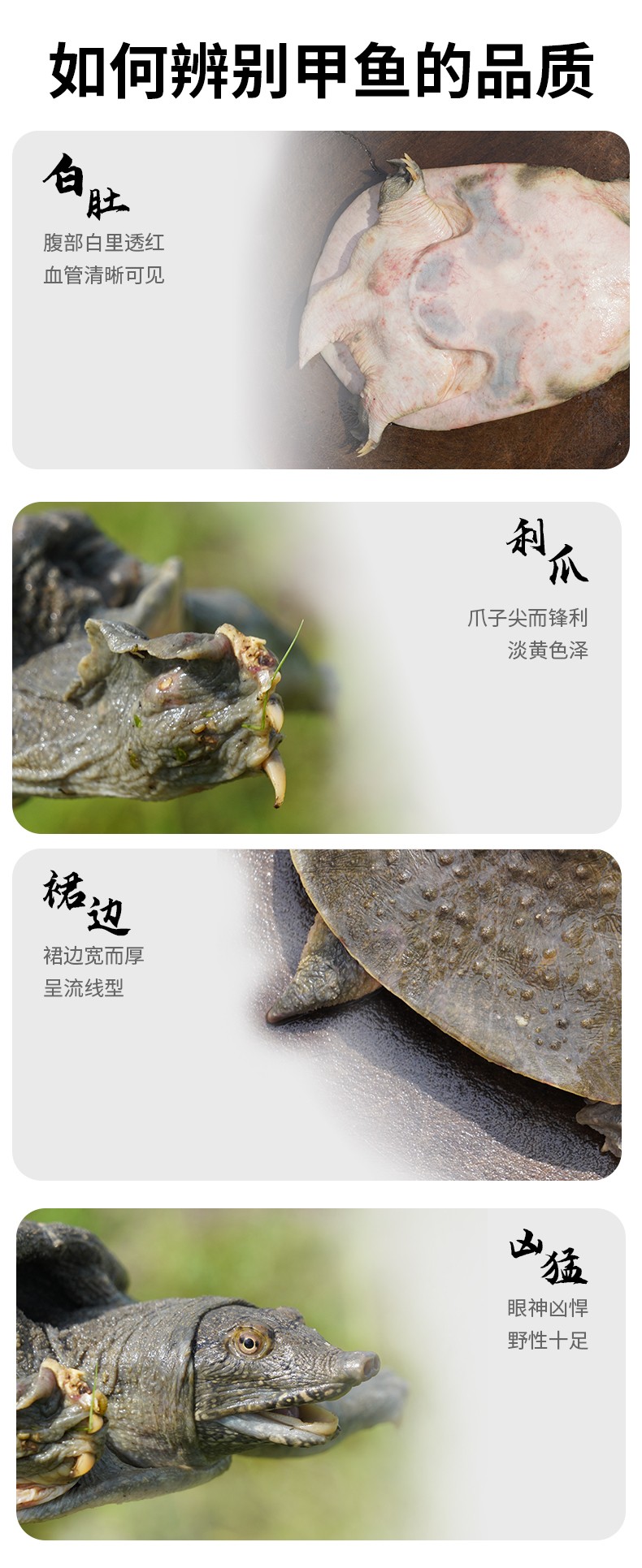 和萬安|生態(tài)農(nóng)業(yè)|有機(jī)食品|綠色食品|稻田共養(yǎng)