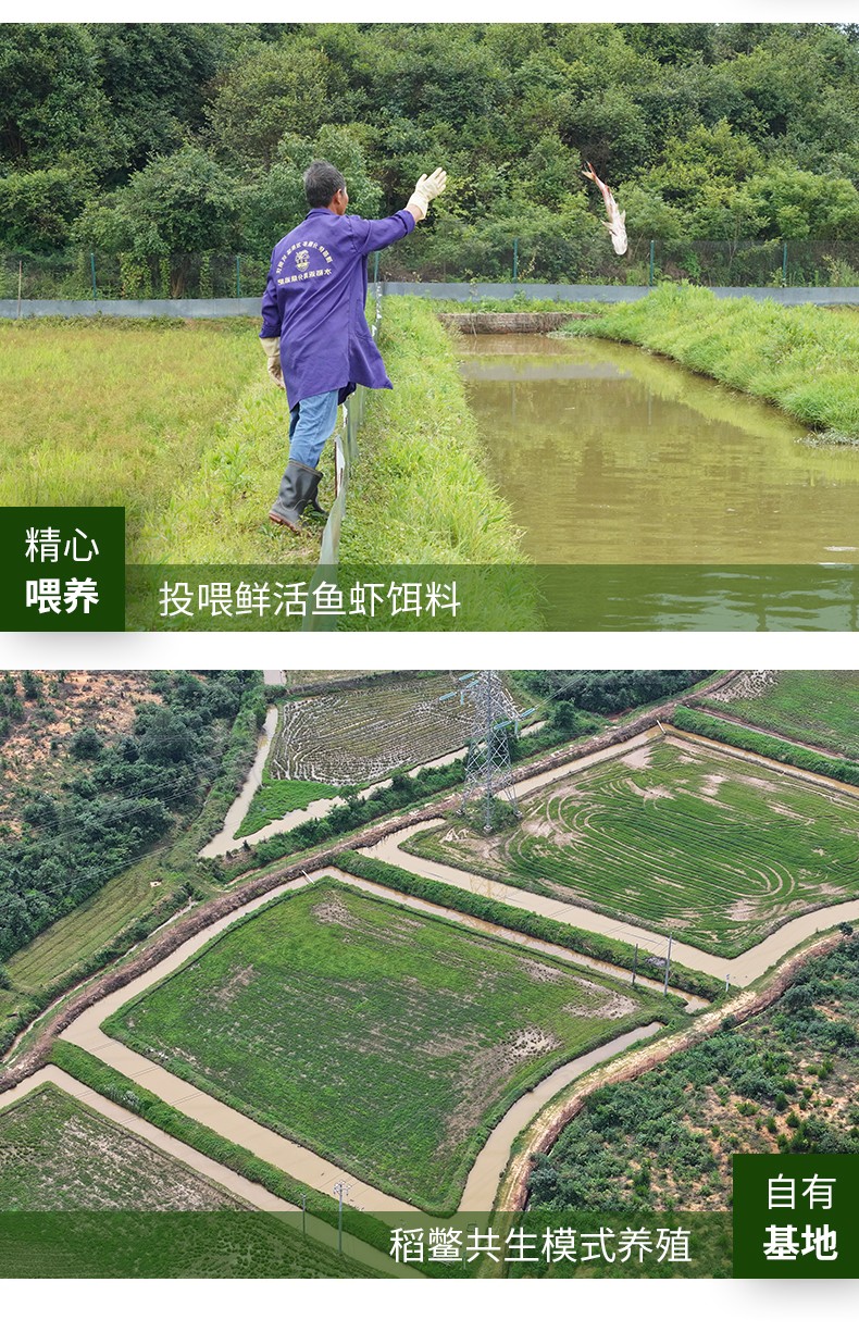 和萬安|生態(tài)農(nóng)業(yè)|有機(jī)食品|綠色食品|稻田共養(yǎng)