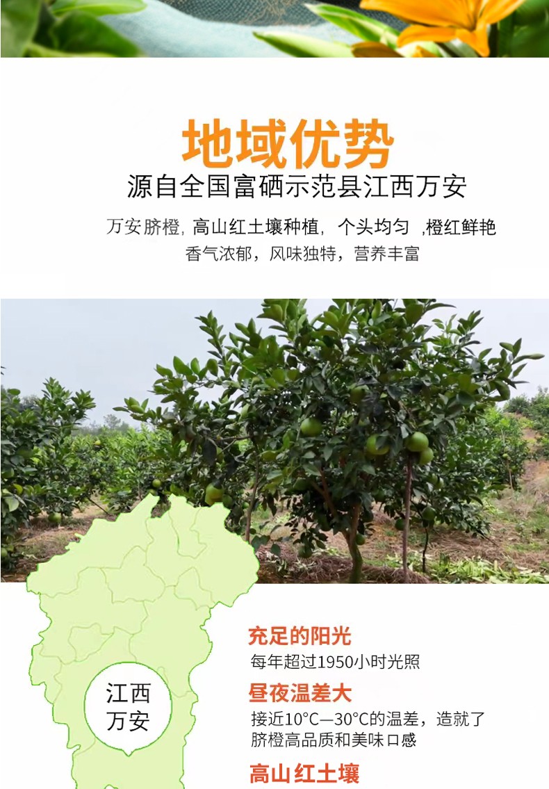 和萬安|生態農業|有機食品|綠色食品|稻田共養