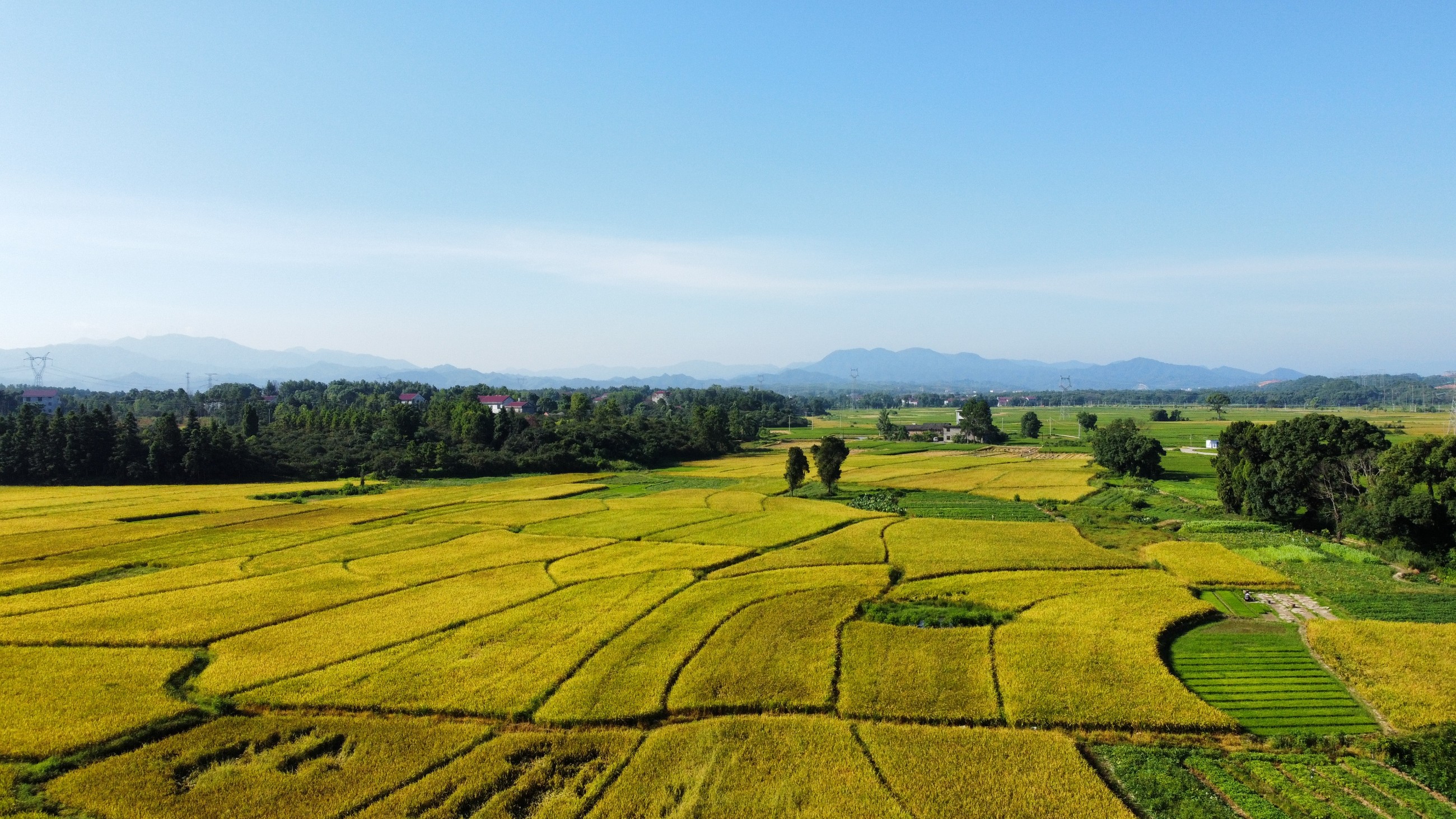 和萬安|生態(tài)農(nóng)業(yè)|有機食品|綠色食品|稻田共養(yǎng)