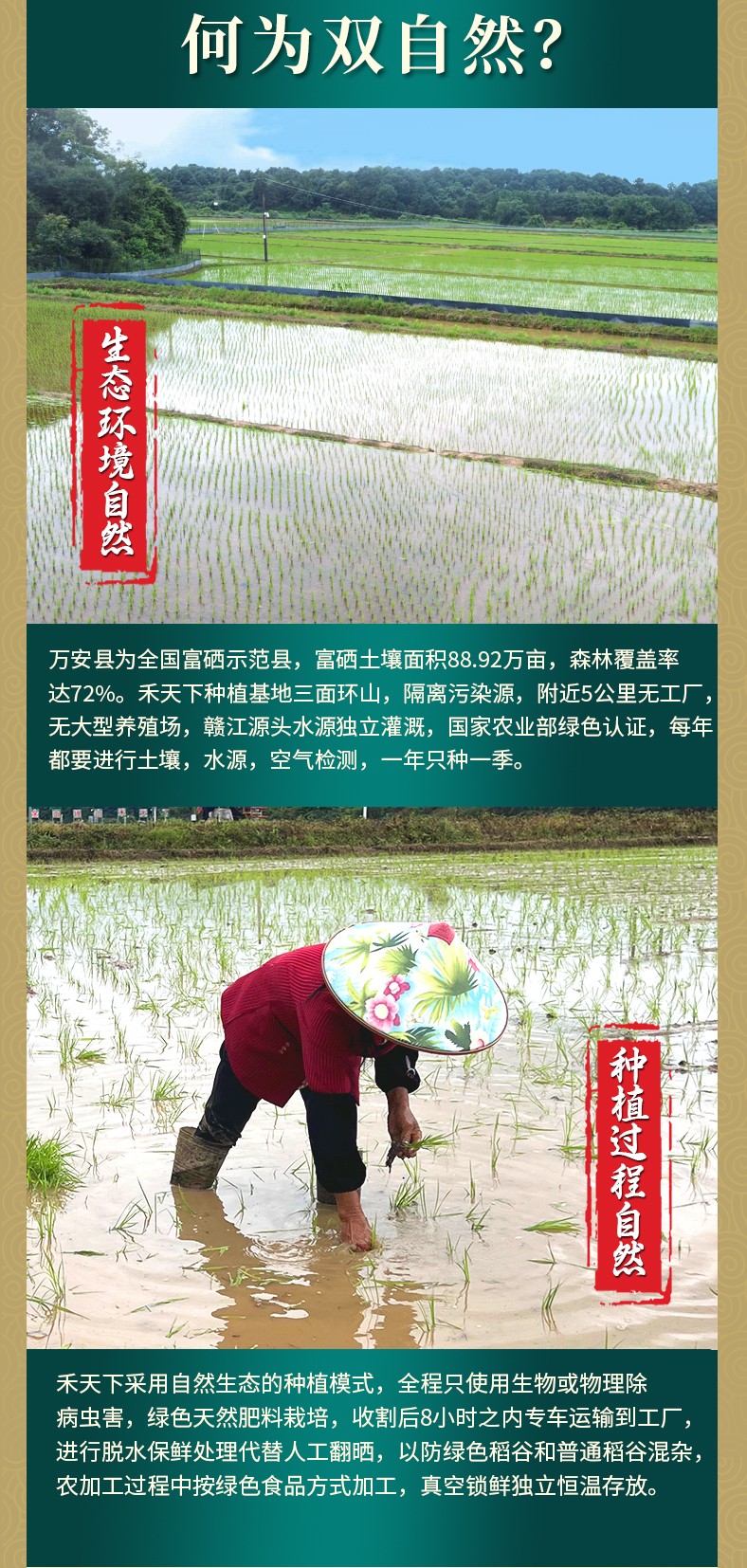和萬安|生態農業|有機食品|綠色食品|稻田共養
