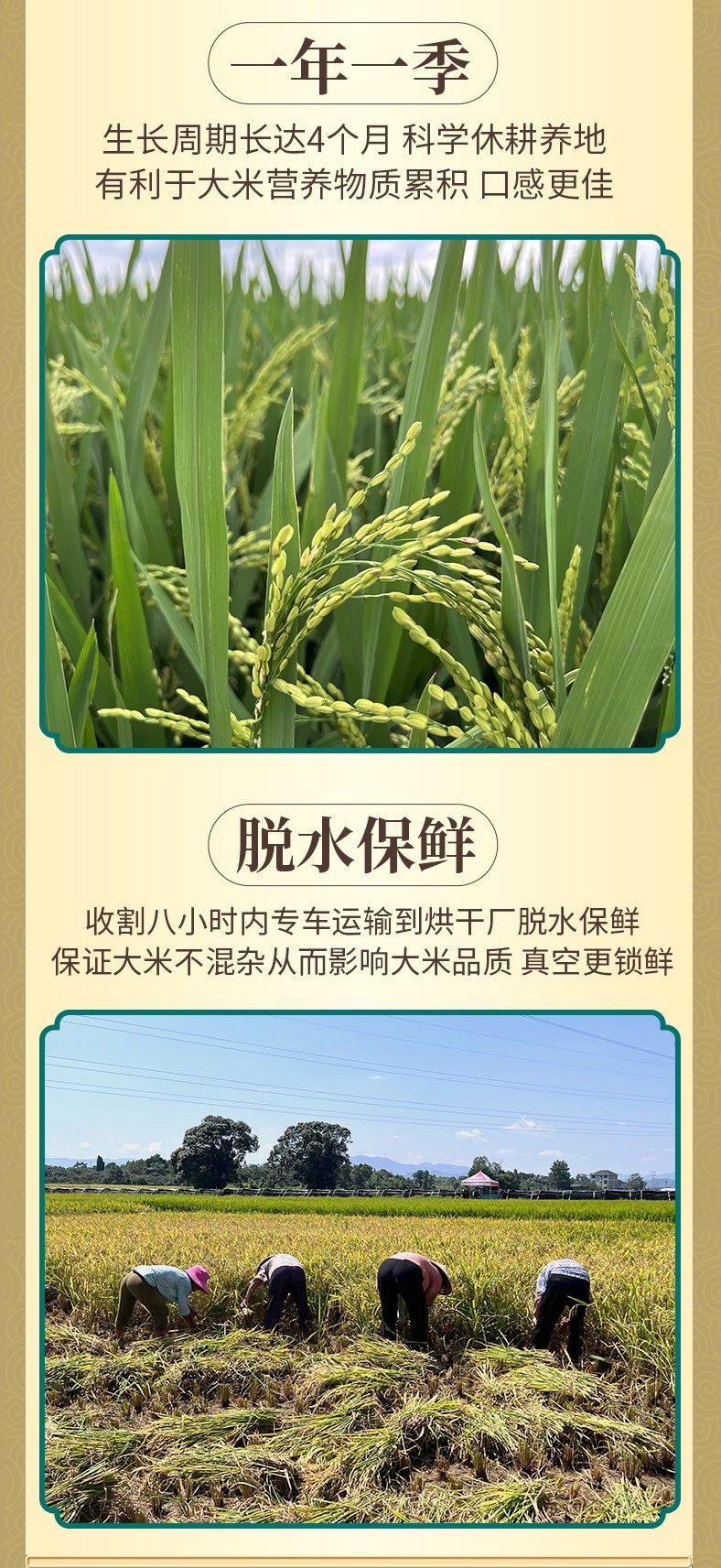 和萬安|生態農業|有機食品|綠色食品|稻田共養