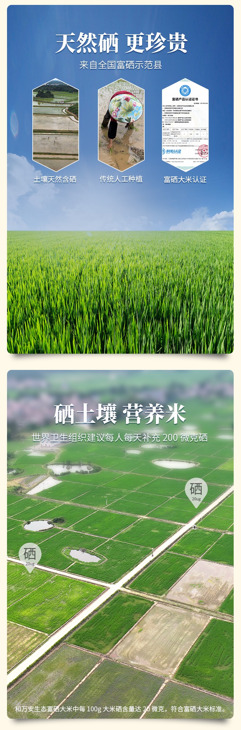 和萬安|生態農業|有機食品|綠色食品|稻田共養