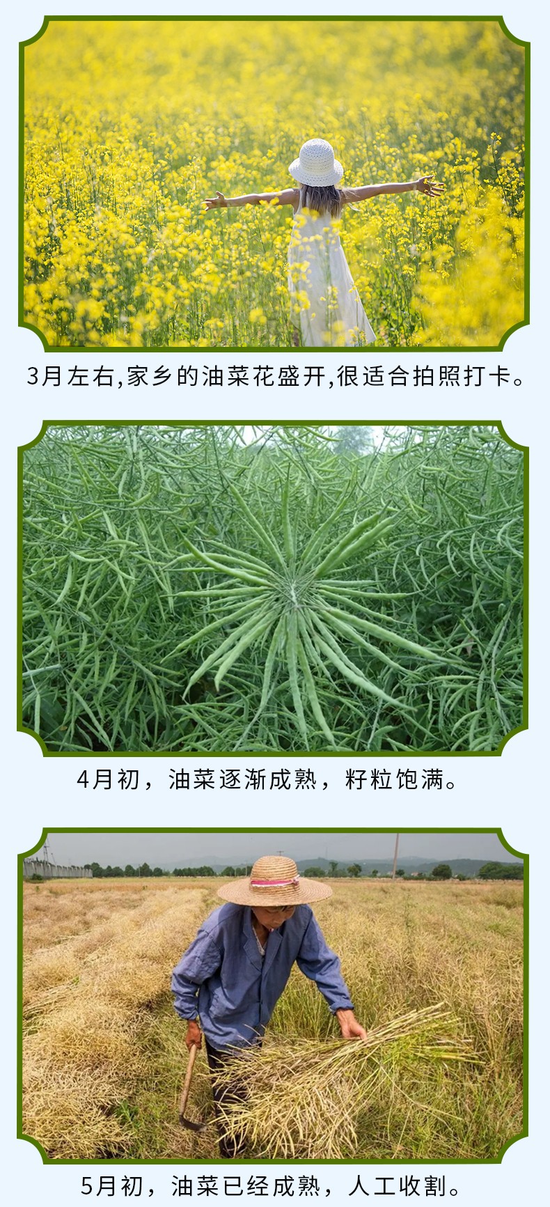 和萬安|生態(tài)農(nóng)業(yè)|有機(jī)食品|綠色食品|稻田共養(yǎng)