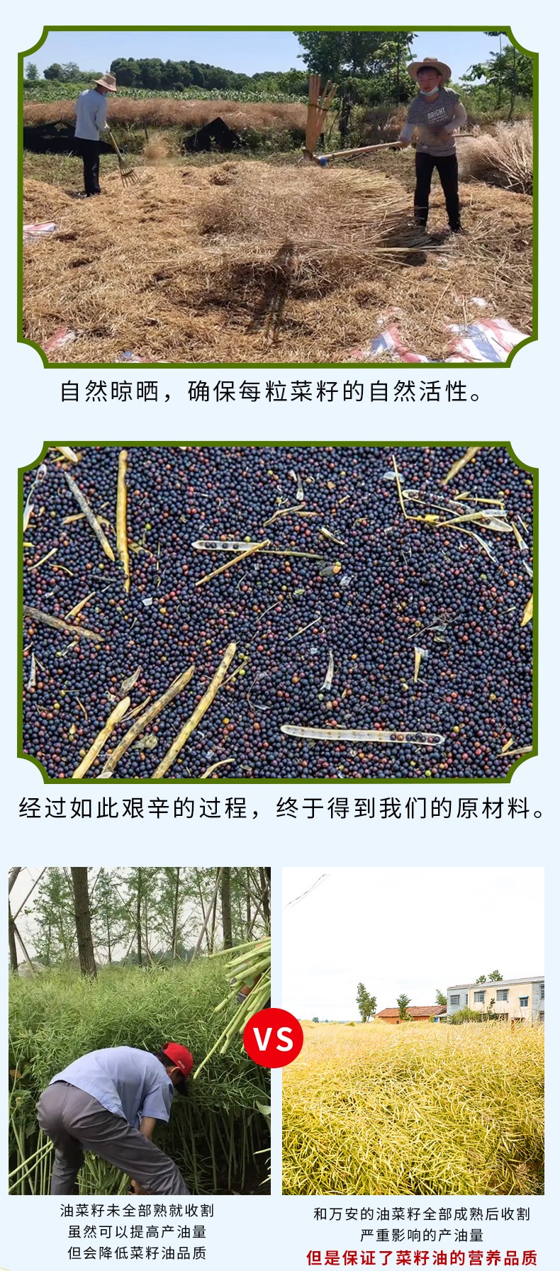 和萬安|生態(tài)農(nóng)業(yè)|有機(jī)食品|綠色食品|稻田共養(yǎng)