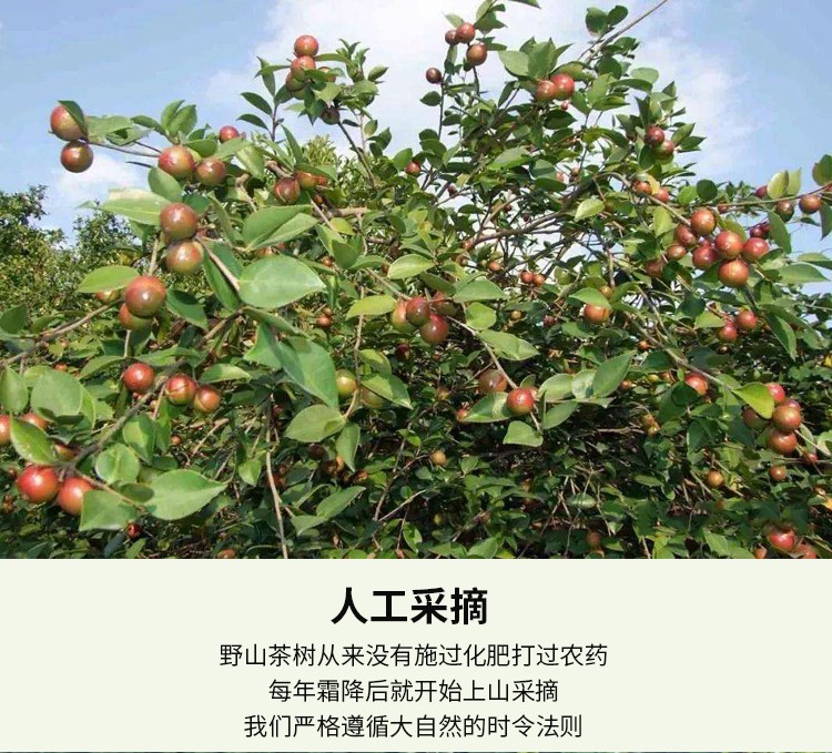 和萬安|生態(tài)農(nóng)業(yè)|有機食品|綠色食品|稻田共養(yǎng)