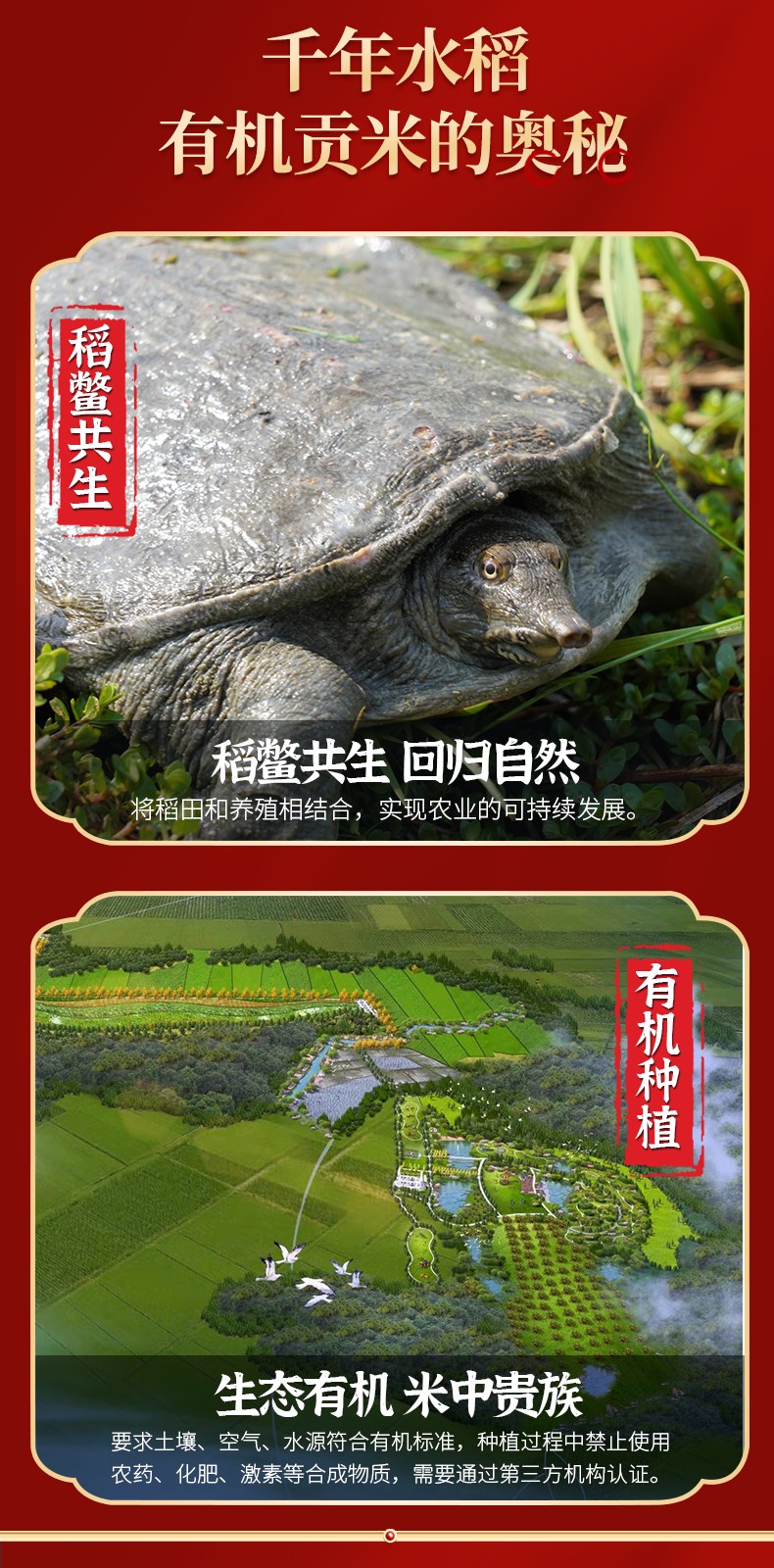 和萬安|生態(tài)農(nóng)業(yè)|有機(jī)食品|綠色食品|稻田共養(yǎng)