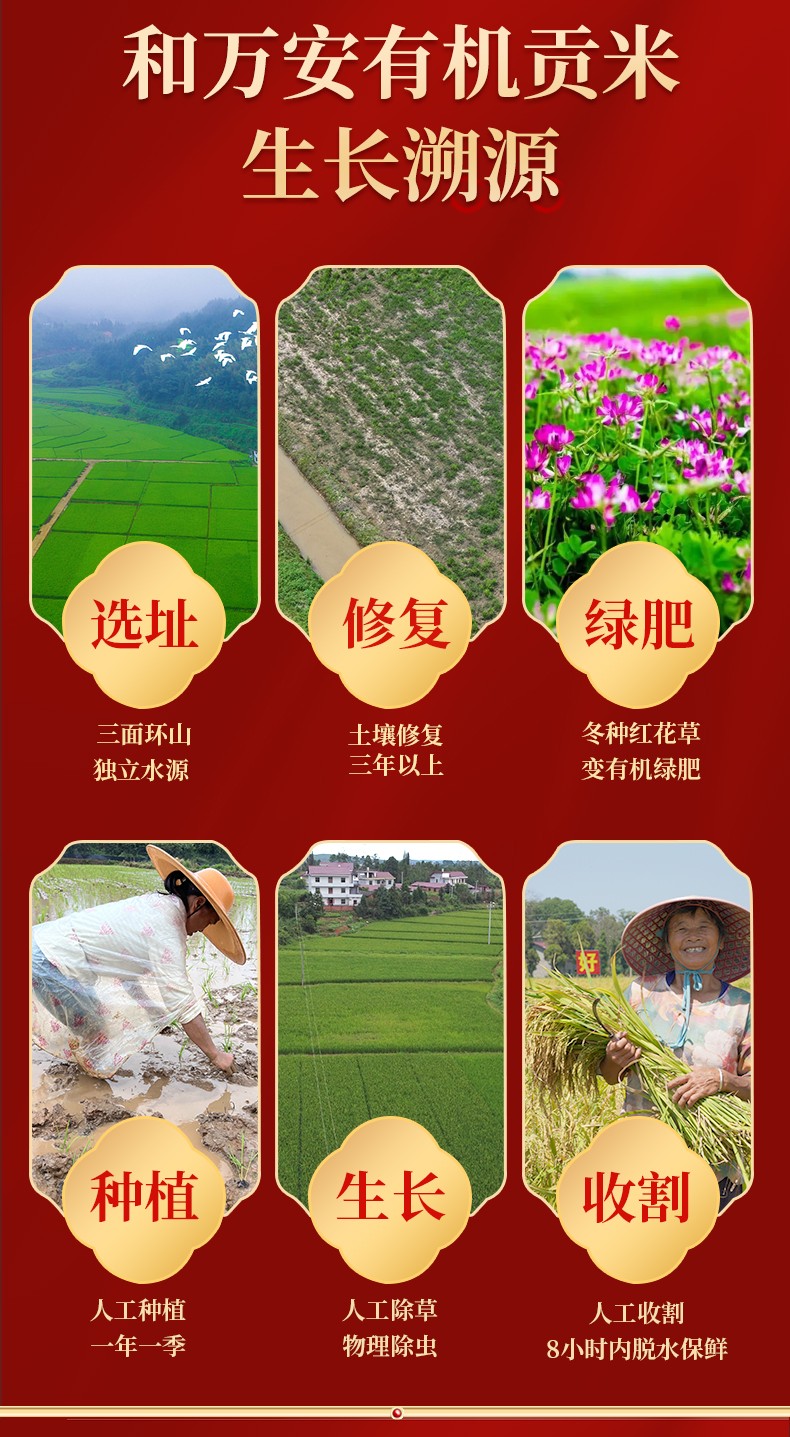 和萬安|生態(tài)農(nóng)業(yè)|有機(jī)食品|綠色食品|稻田共養(yǎng)