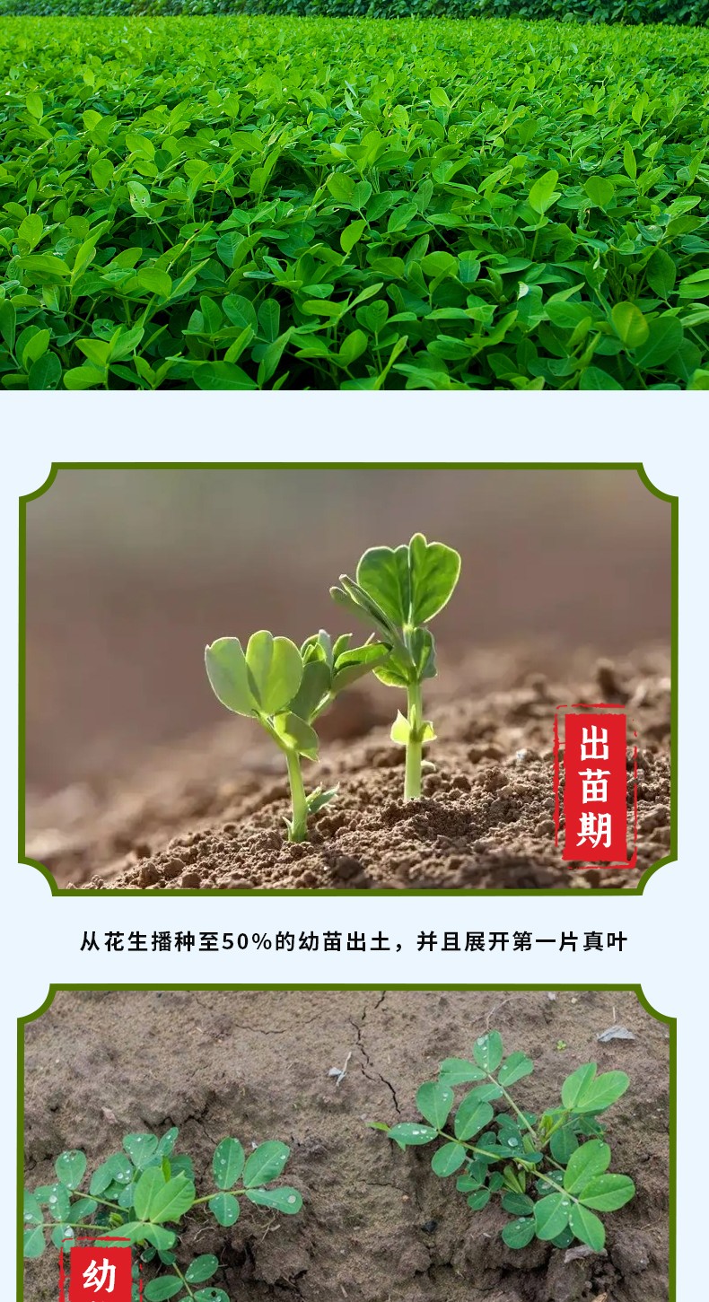 和萬安|生態(tài)農(nóng)業(yè)|有機食品|綠色食品|稻田共養(yǎng)