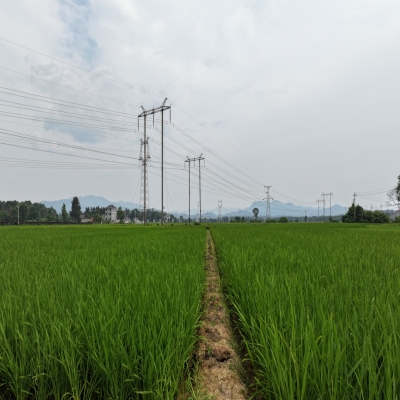 禾天下基地直播-韶口2