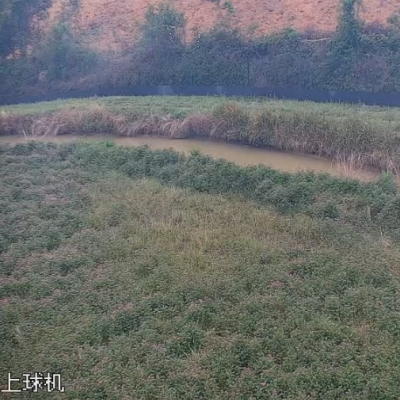 禾天下農業直播-剡溪8